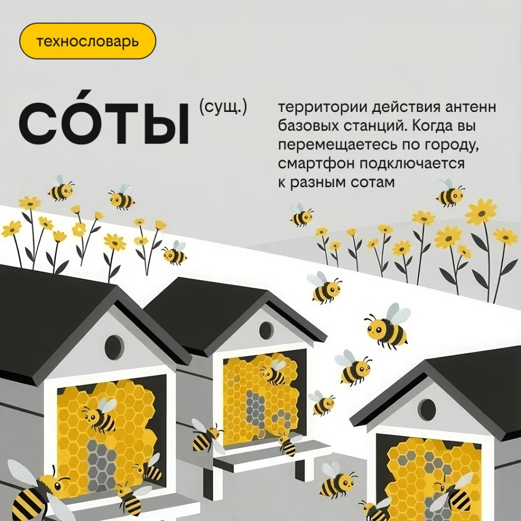 Сервировка, соты, SON, пакеты  Мы редко задумываемся, как устроена связь — пока она работает. Но за 