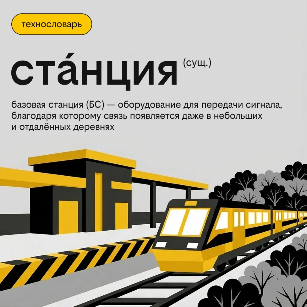 Сервировка, соты, SON, пакеты  Мы редко задумываемся, как устроена связь — пока она работает. Но за 