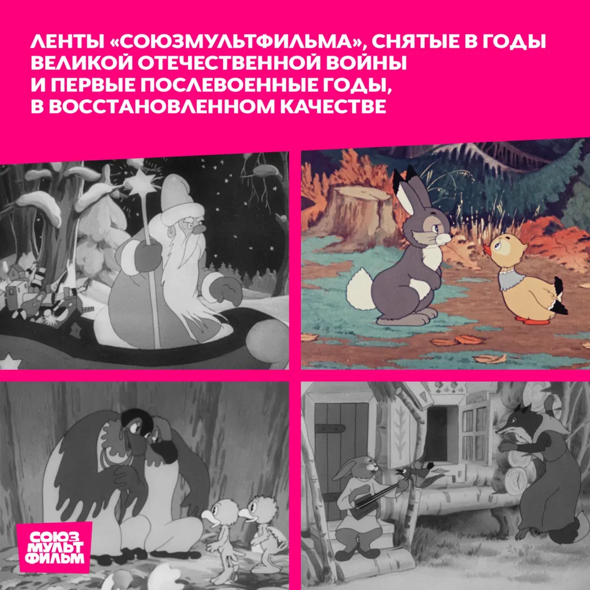 🎬 В прошлом году, к празднованию 80-летия Победы в Великой Отечественной войне, «Союзмультфильм» опу