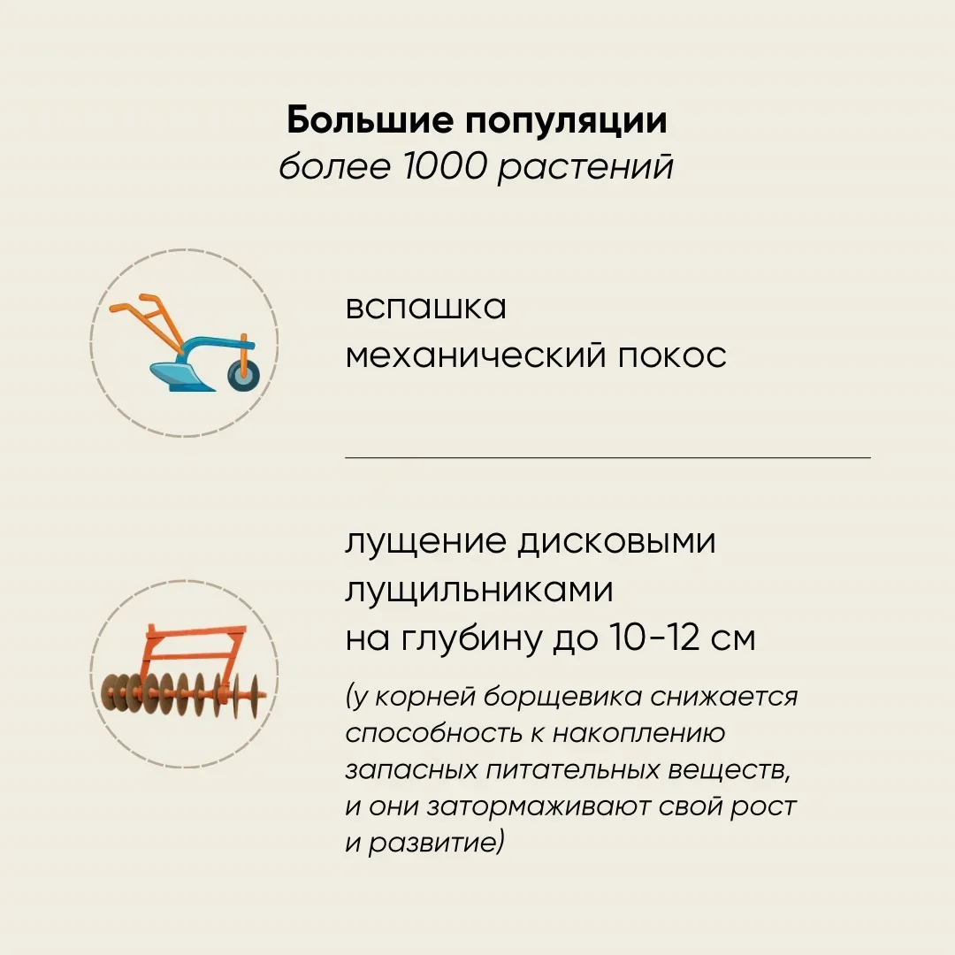 Россельхознадзор рассказал о борьбе с борщевиком Сосновского  Больше всего площадей сельхозземель с 