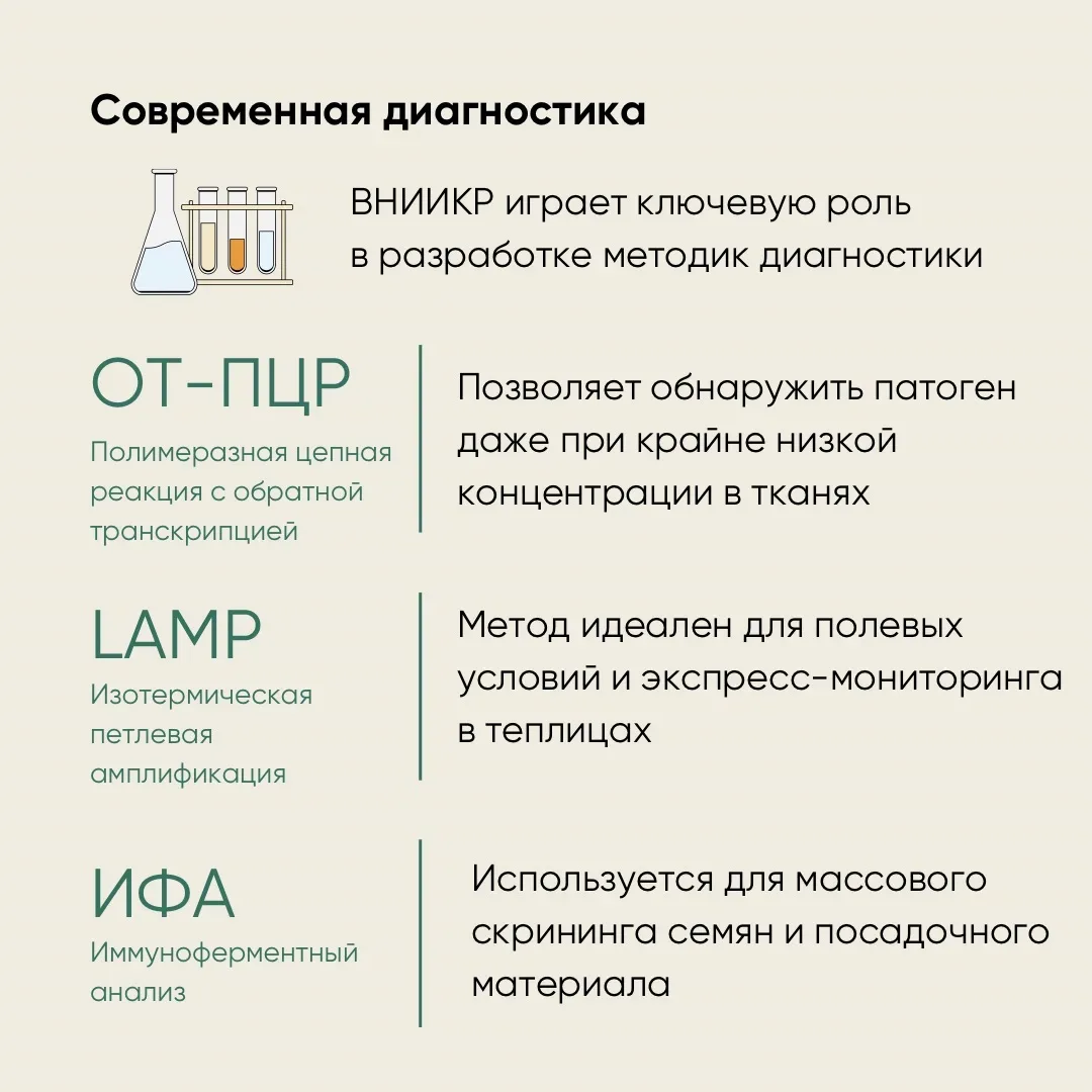 🌿12 мая отмечается Международный день охраны здоровья растений — дата, напоминающая о важности фитос