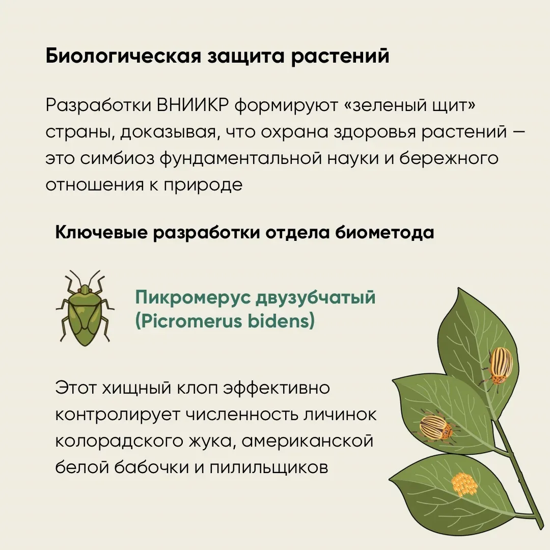 🌿12 мая отмечается Международный день охраны здоровья растений — дата, напоминающая о важности фитос