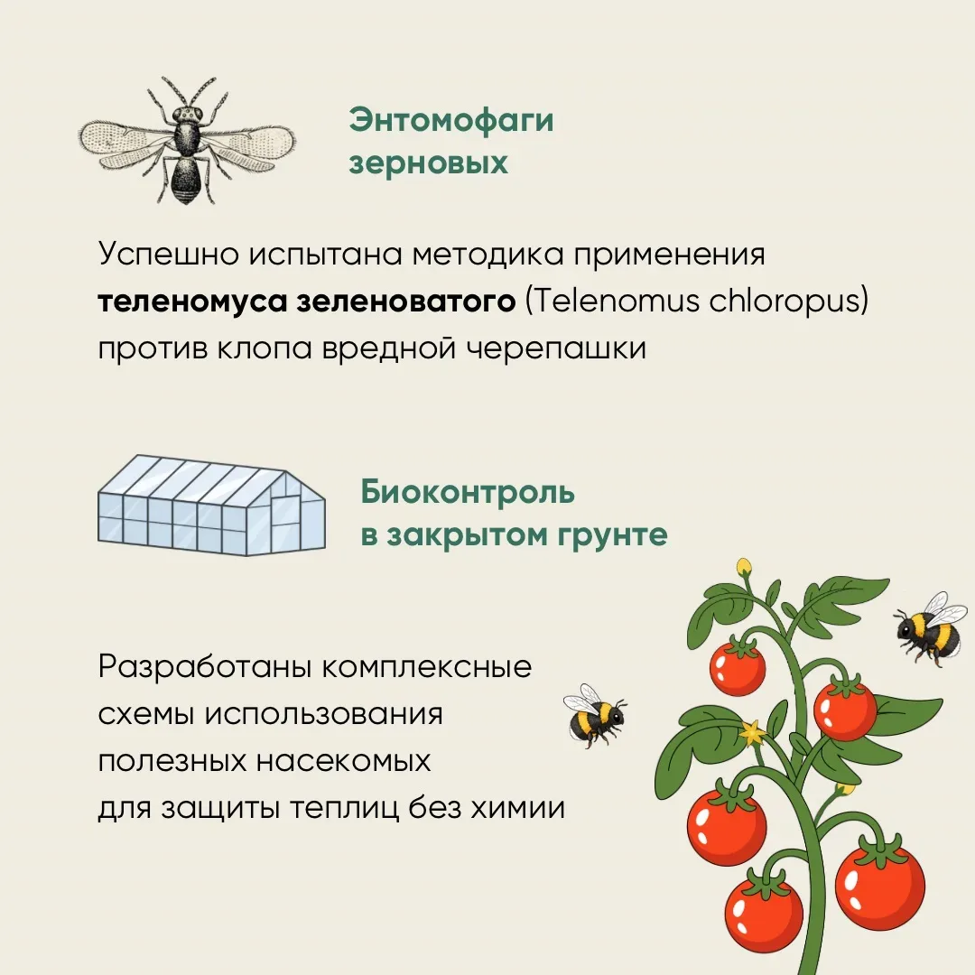 🌿12 мая отмечается Международный день охраны здоровья растений — дата, напоминающая о важности фитос