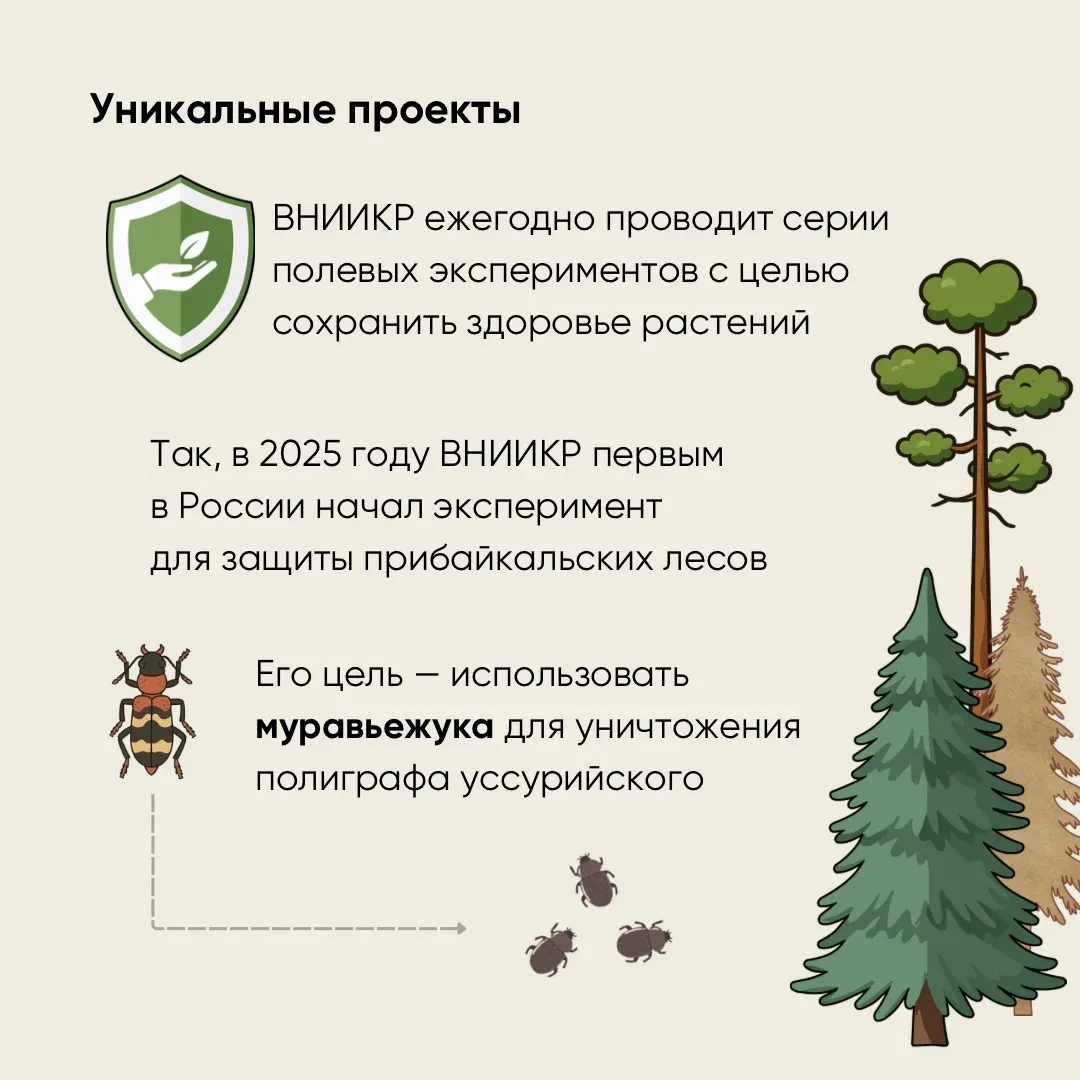🌿12 мая отмечается Международный день охраны здоровья растений — дата, напоминающая о важности фитос