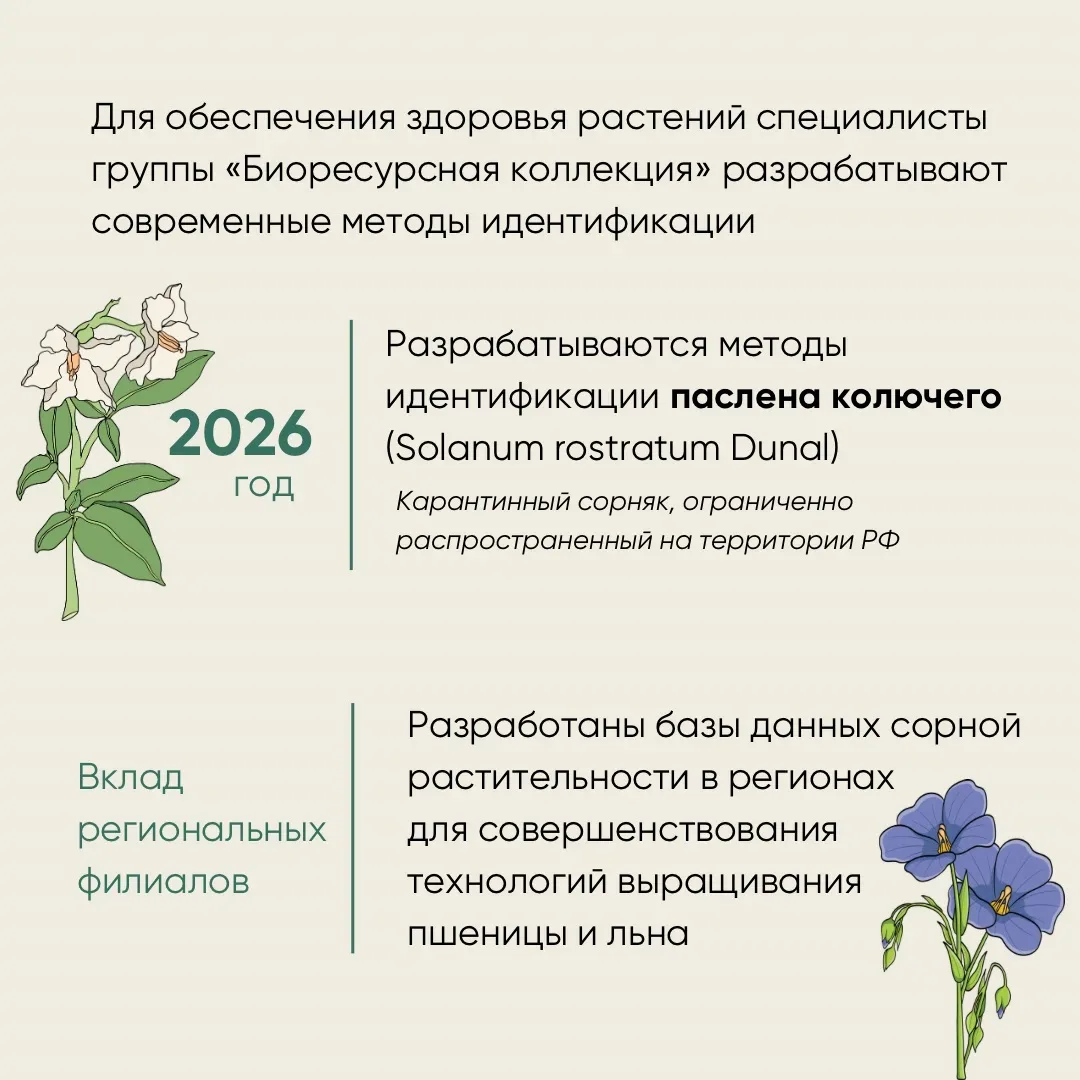 🌿12 мая отмечается Международный день охраны здоровья растений — дата, напоминающая о важности фитос