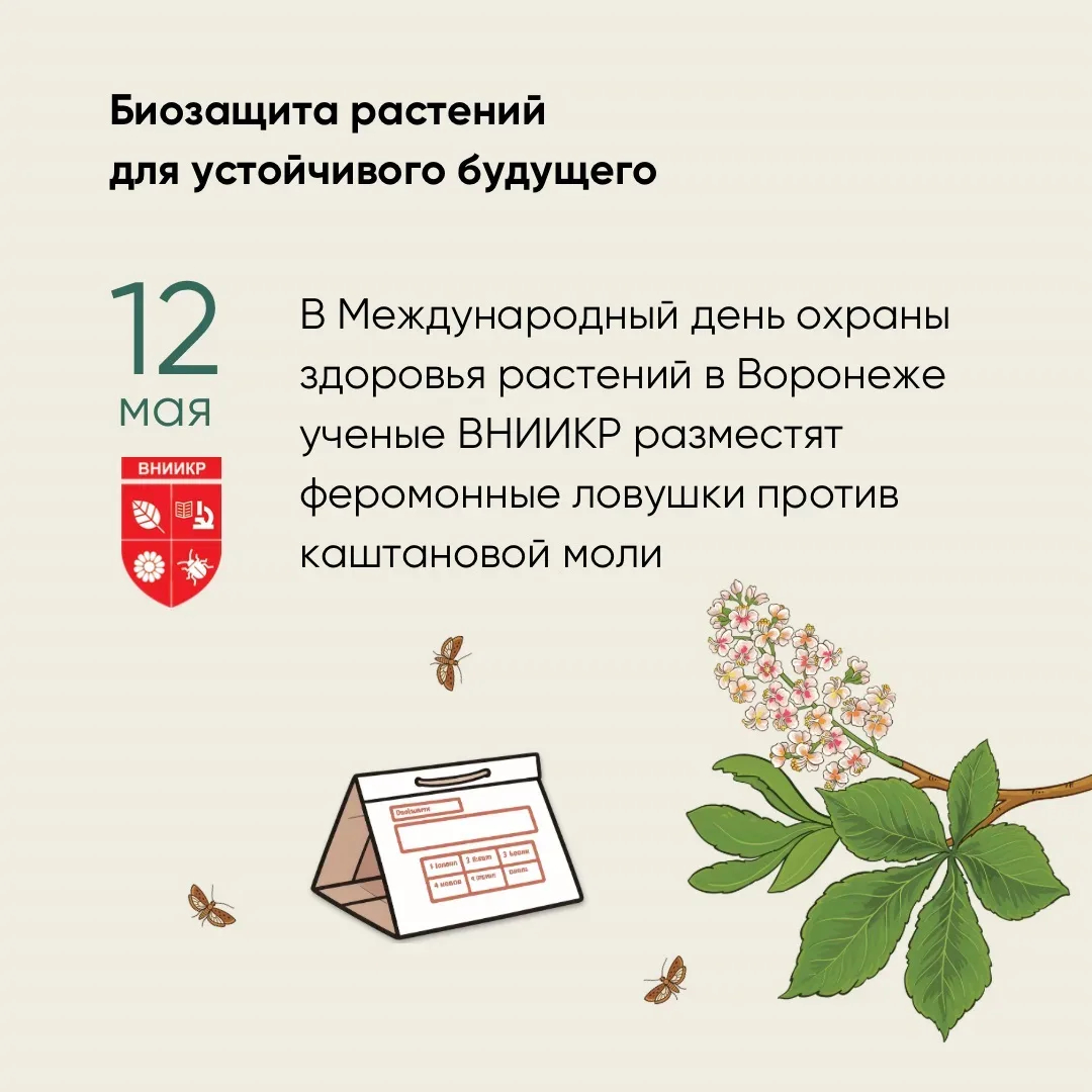 🌿12 мая отмечается Международный день охраны здоровья растений — дата, напоминающая о важности фитос