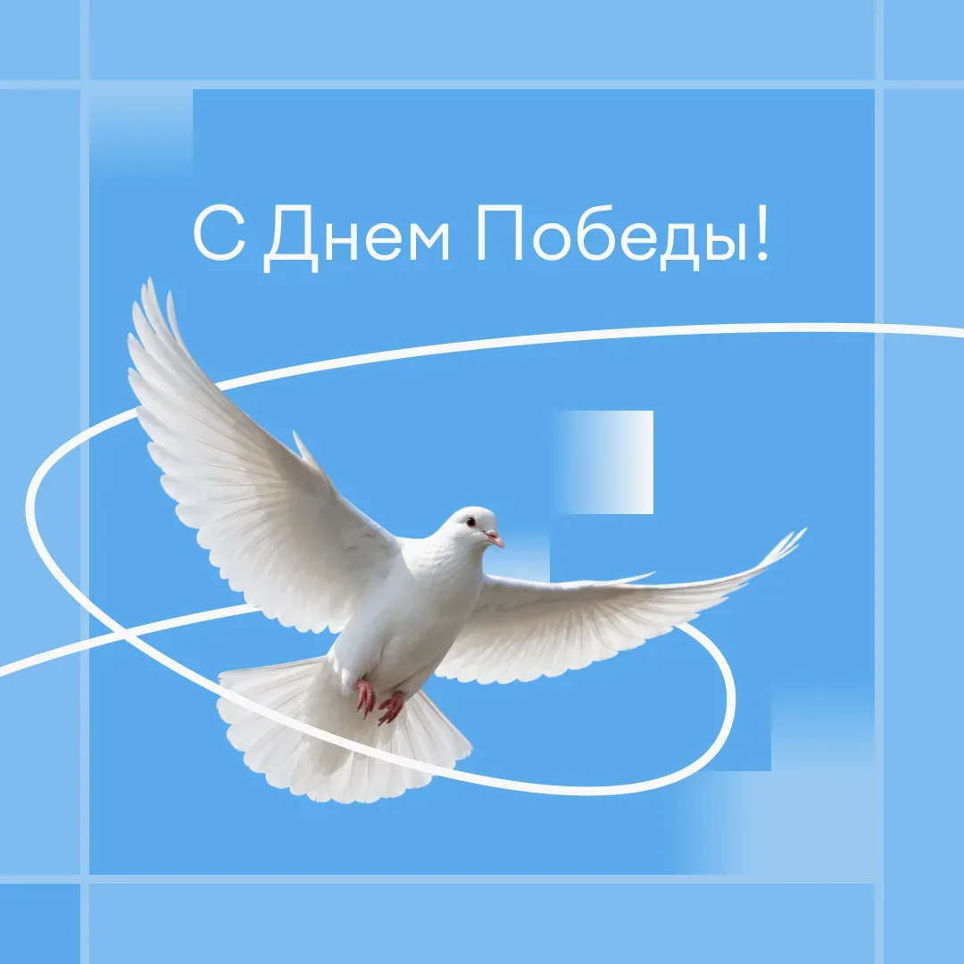Сегодня мы отмечаем 81-ю годовщину Победы в Великой Отечественной войне.  Для нас это день благодарн