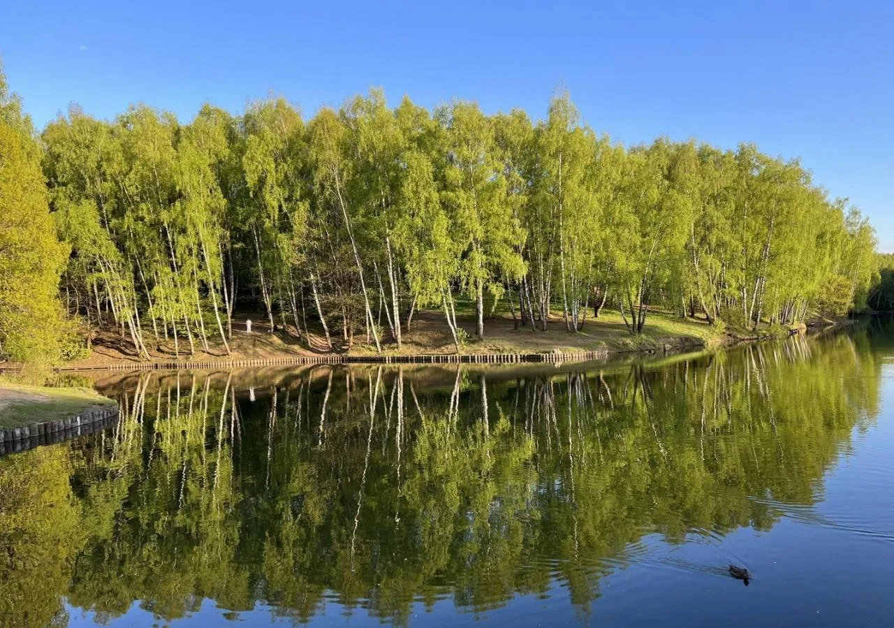 Природа, которая рядом — «Южные сады»  Когда выбираешь район, важно не только то, каким будет дом, н