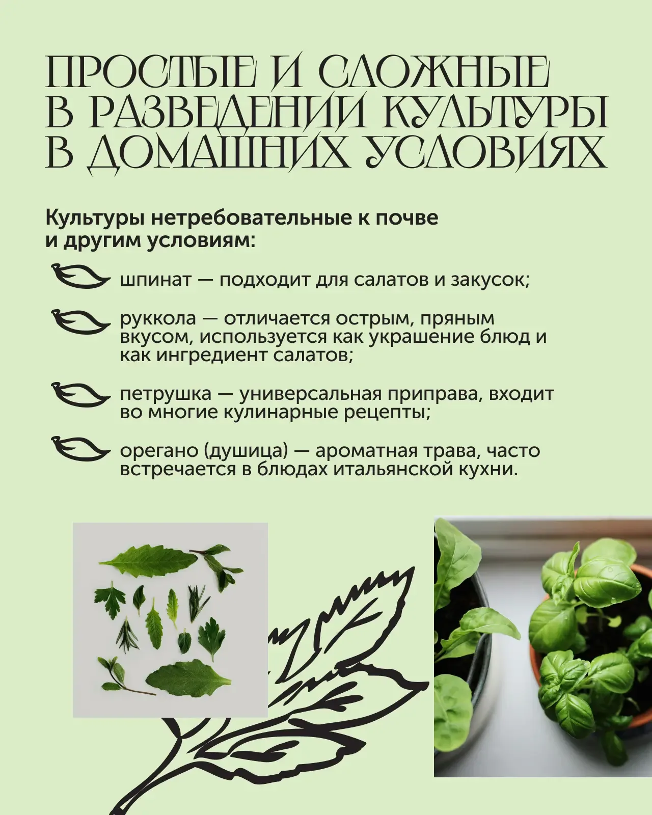 Мини-огород в квартире 🌿  Если хочется заняться садоводством, но у вас пока нет дачи, можно организо