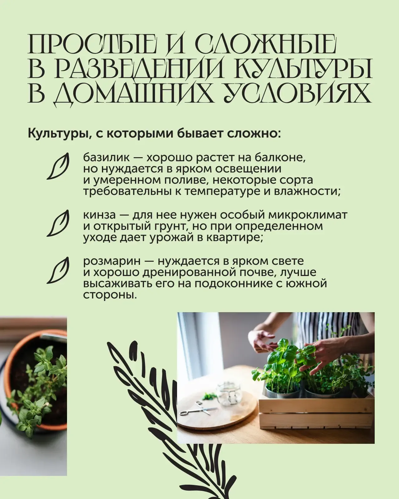 Мини-огород в квартире 🌿  Если хочется заняться садоводством, но у вас пока нет дачи, можно организо