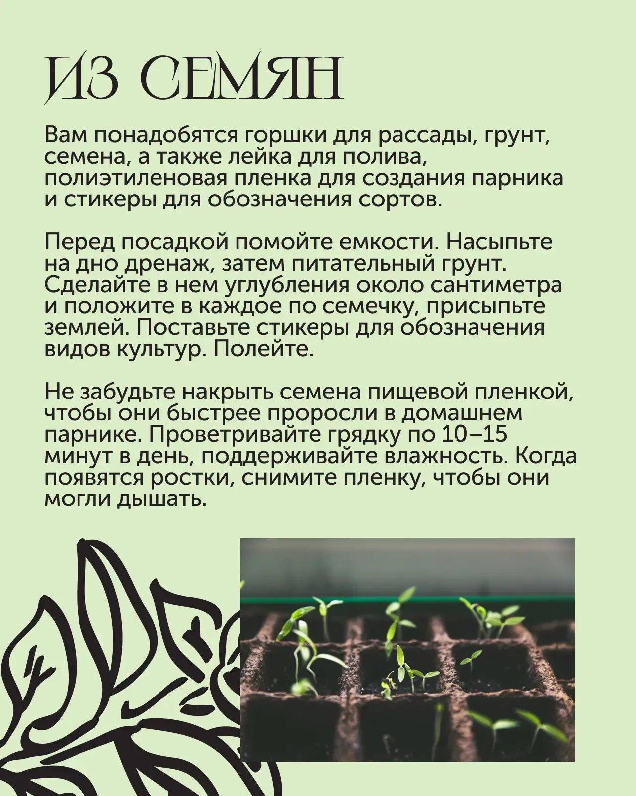 Мини-огород в квартире 🌿  Если хочется заняться садоводством, но у вас пока нет дачи, можно организо