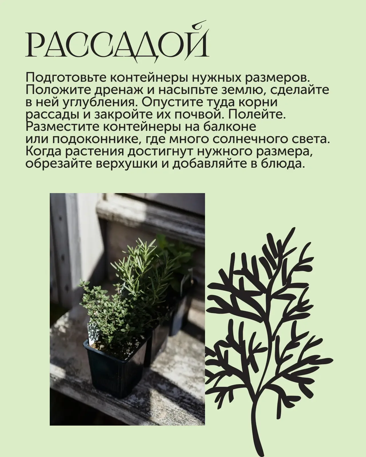 Мини-огород в квартире 🌿  Если хочется заняться садоводством, но у вас пока нет дачи, можно организо