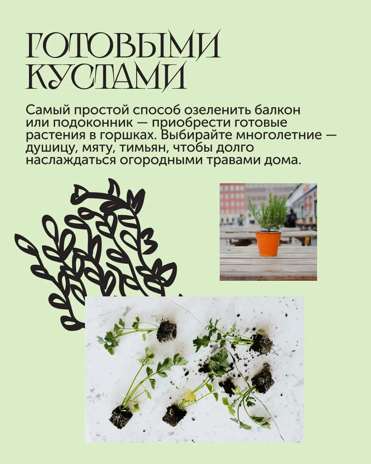 Мини-огород в квартире 🌿  Если хочется заняться садоводством, но у вас пока нет дачи, можно организо