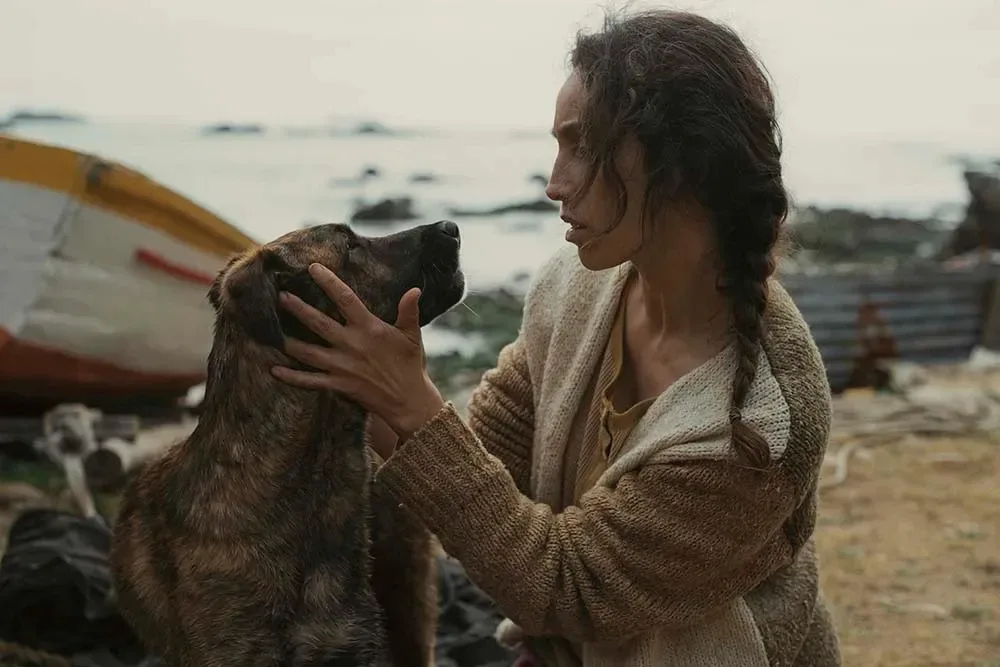 На Каннском кинофестивале вручили ежегодный приз Palm Dog Award — неофициальную награду за лучшую со