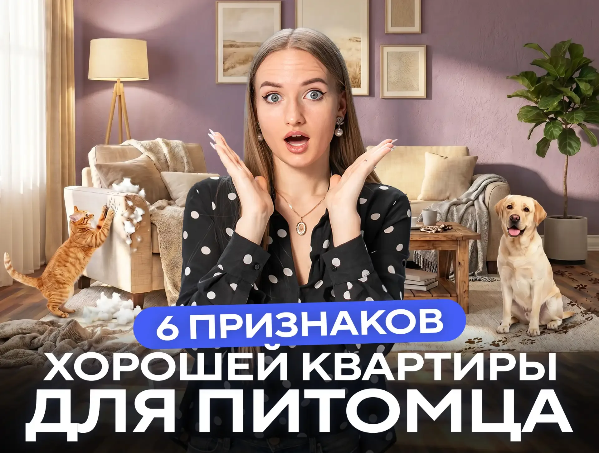 🐾 «Мяу» значит «одобряю»: как выбрать квартиру, чтобы питомец не сбежал к соседу  Вы думаете, что по