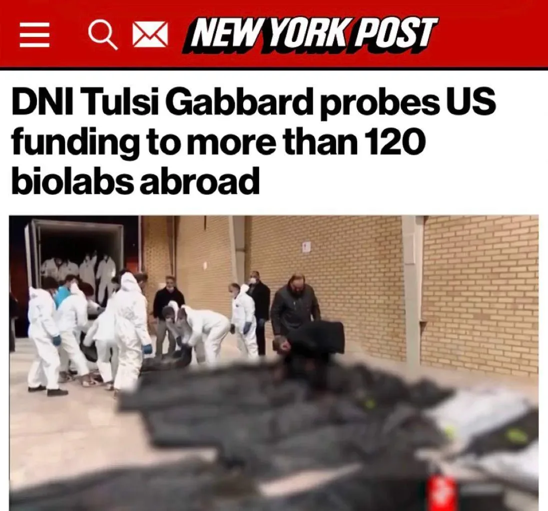 Нацразведка США взялась за собственные биолаборатории: Тулси Габбард расследует финансирование более
