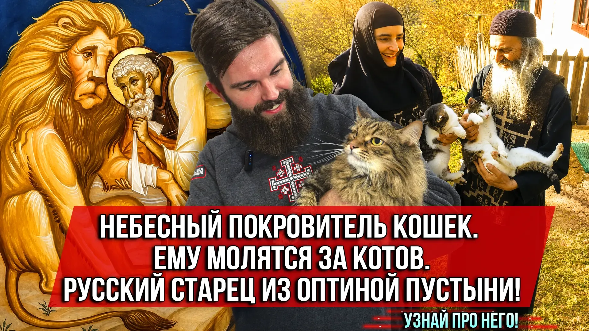 Есть святой, которому православные молятся о своих кошках. Преподобный Нектарий Оптинский. Последний
