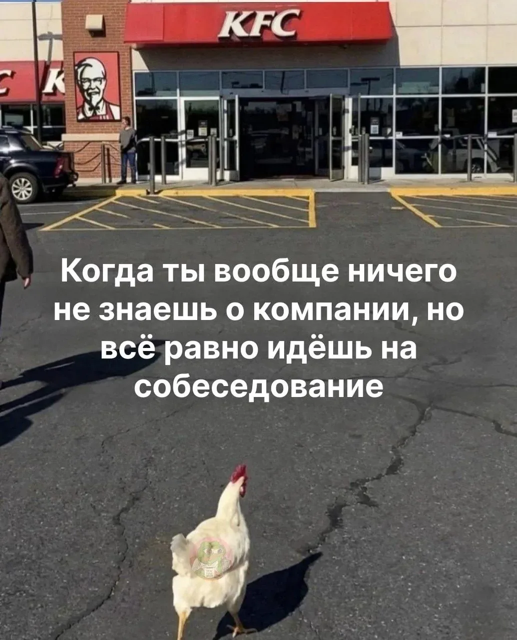 🤩 Мемятница!  Присылайте, лайкайте, рассылайте друзьям.