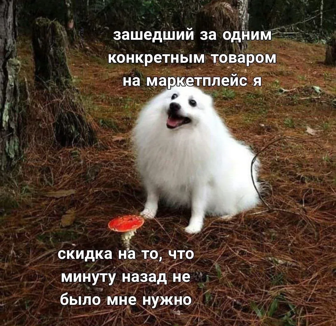 Мы?