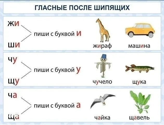 Памятки по русскому языку  Буковкин - для учителей, педагогов, родителей 📖 Методички, новости образо