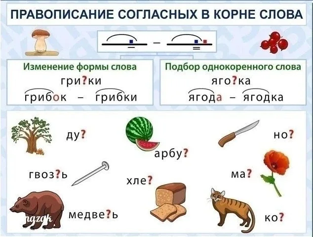 Памятки по русскому языку  Буковкин - для учителей, педагогов, родителей 📖 Методички, новости образо