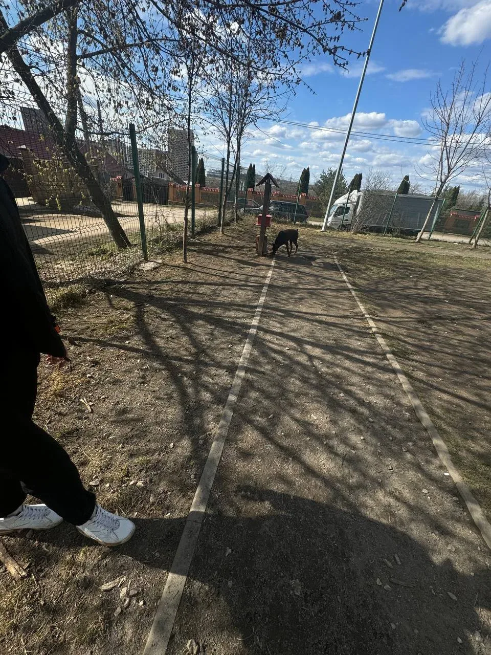 😧 Месяц назад жители обращались в УК «Самолет» по поводу состояния площадки для выгула собак в Путил