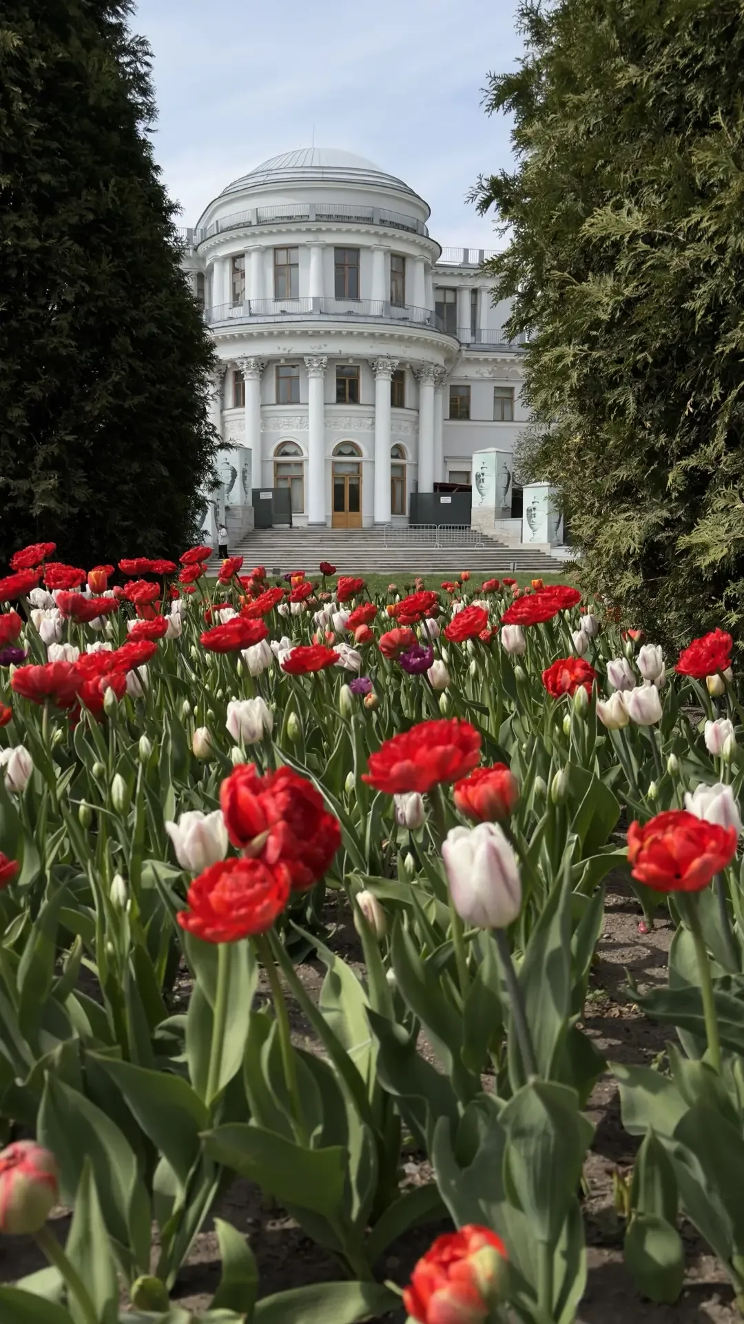 Докладываю, в ЦПКиО распустились почти все тюльпаны🌷Красота невероятная!