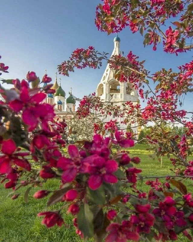 🌺🌺🌺🌺🌺🌺🌺🌺  О любви к Богу.  – Мы никогда не видали Бога, как можем мы Его любить?  – Детки мои возлюб