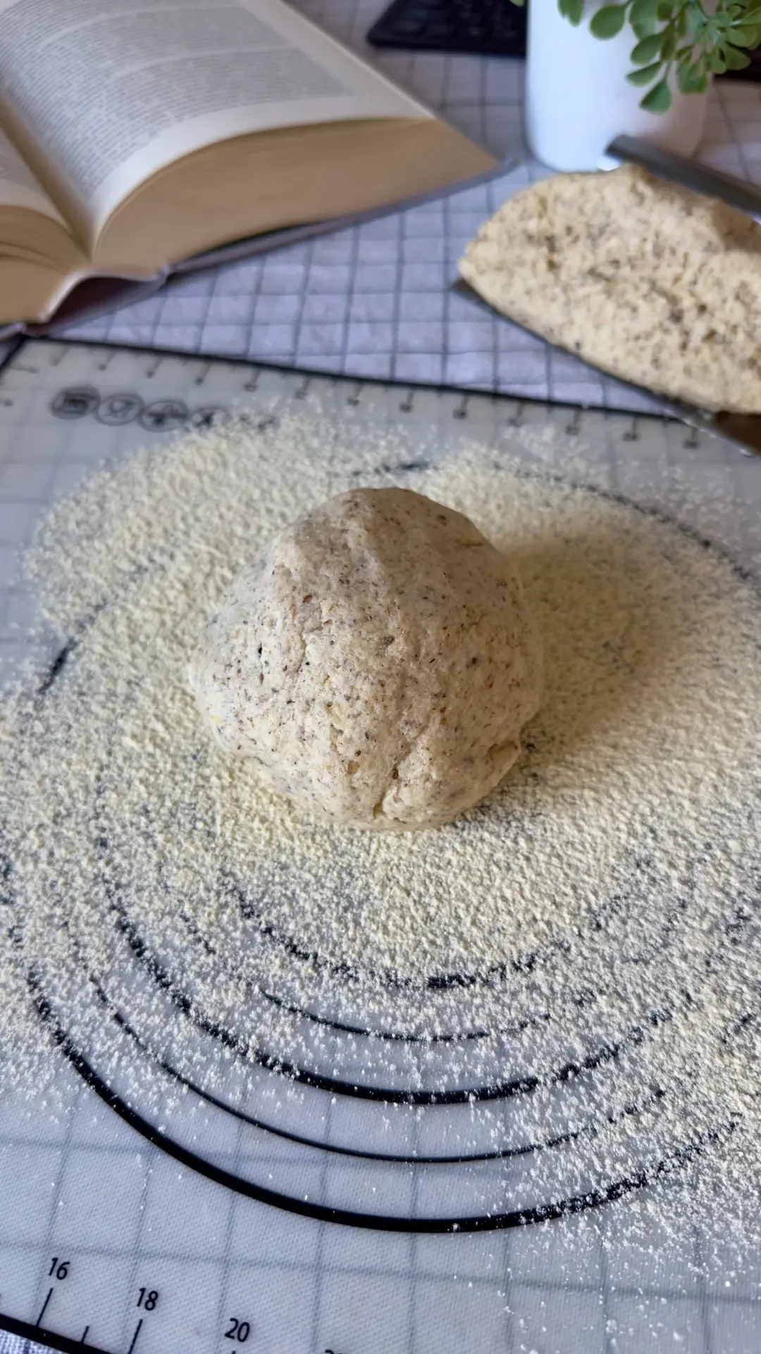 "МЯСНОЙ" ПИРОГ 🥧  Этим пирогом на днях угощала гостей,  правда я им не сказала что это веган версия 