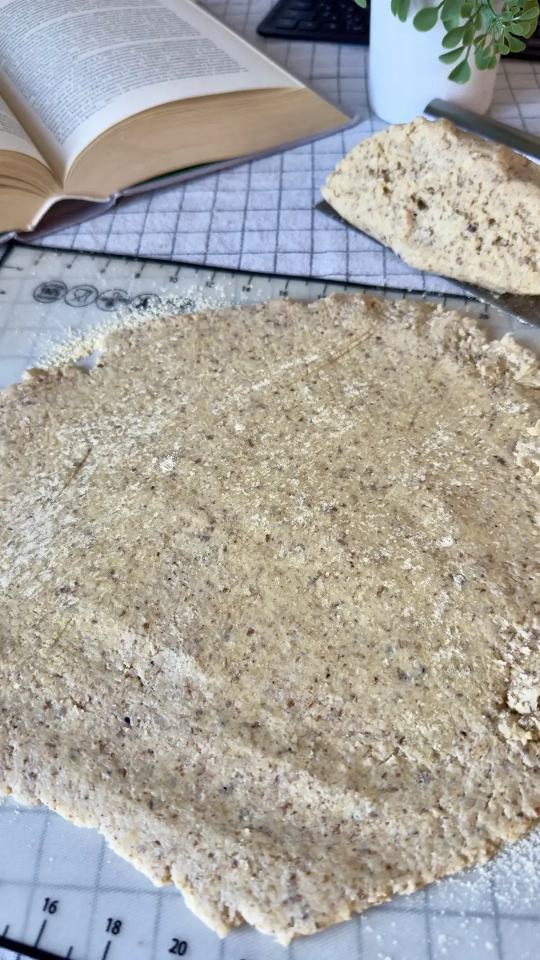 "МЯСНОЙ" ПИРОГ 🥧  Этим пирогом на днях угощала гостей,  правда я им не сказала что это веган версия 