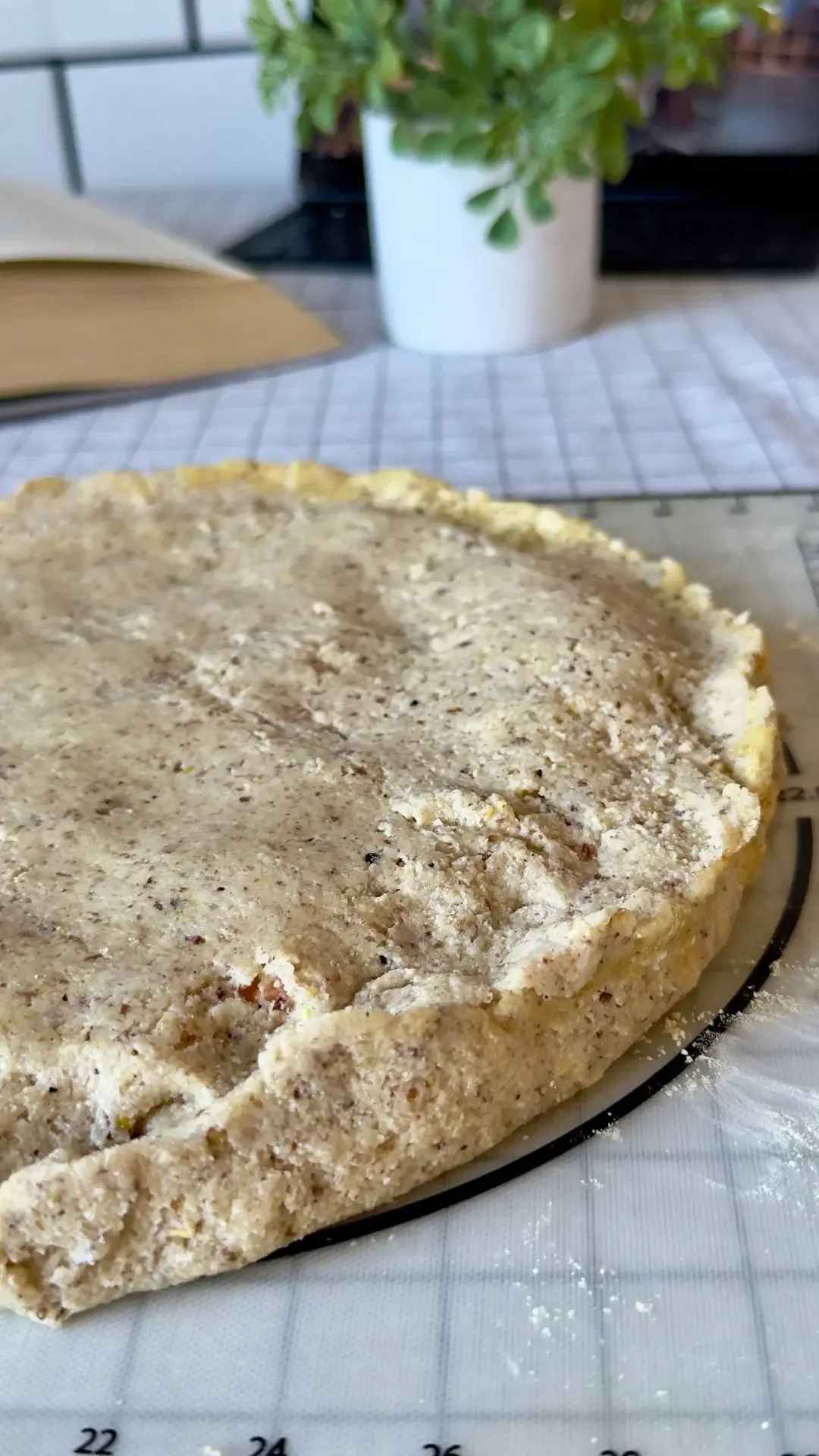 "МЯСНОЙ" ПИРОГ 🥧  Этим пирогом на днях угощала гостей,  правда я им не сказала что это веган версия 