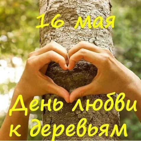 Сегодня, 16 мая 2026 года, суббота – выходной день  Праздники сегодня:  День биографов     Мавра Рас
