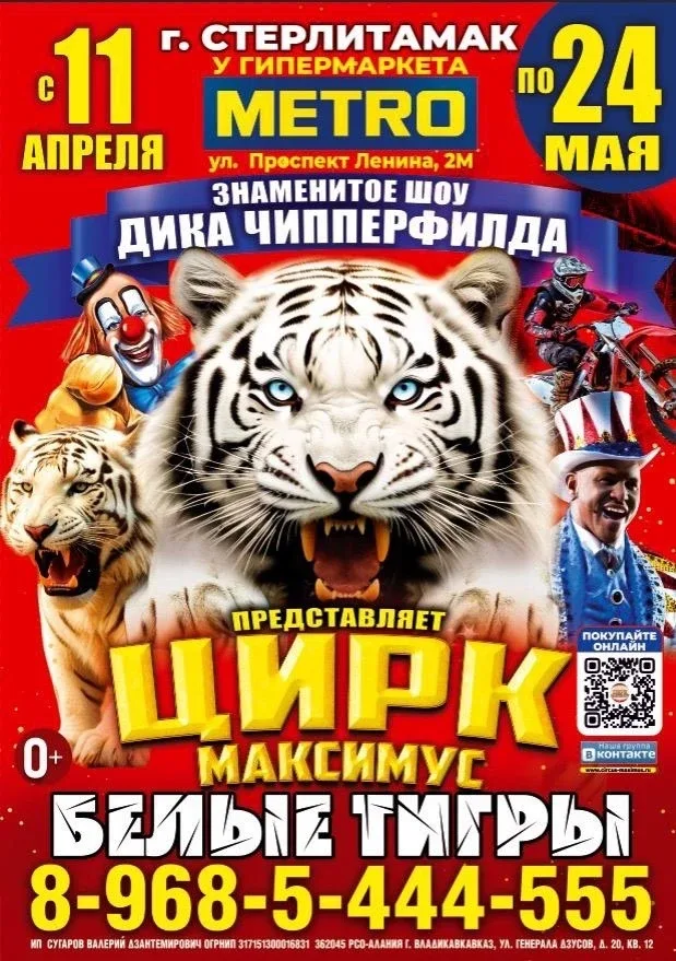 Куда завтра сходить в Стерлитамаке (17 мая 2026)  Что: Прохор Шаляпин Живое выступление артиста Где: