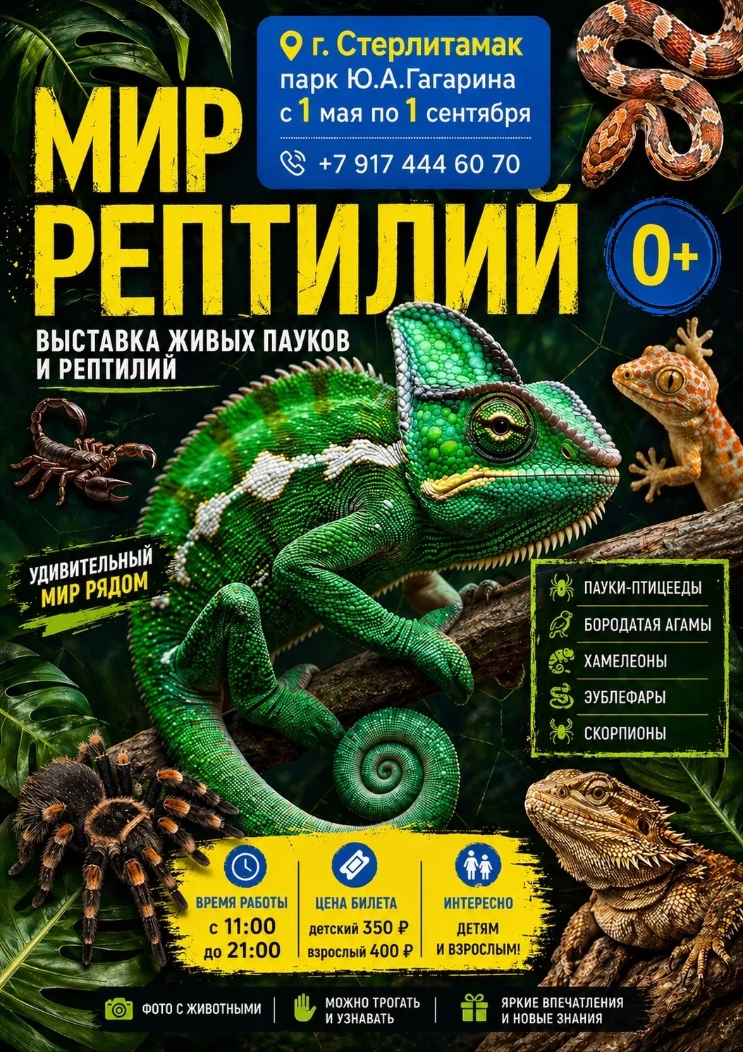 Куда сходить в Стерлитамаке на этой неделе (12 - 17 мая 2026)  Что: И СНОВА ВЕСНА Персональная выста