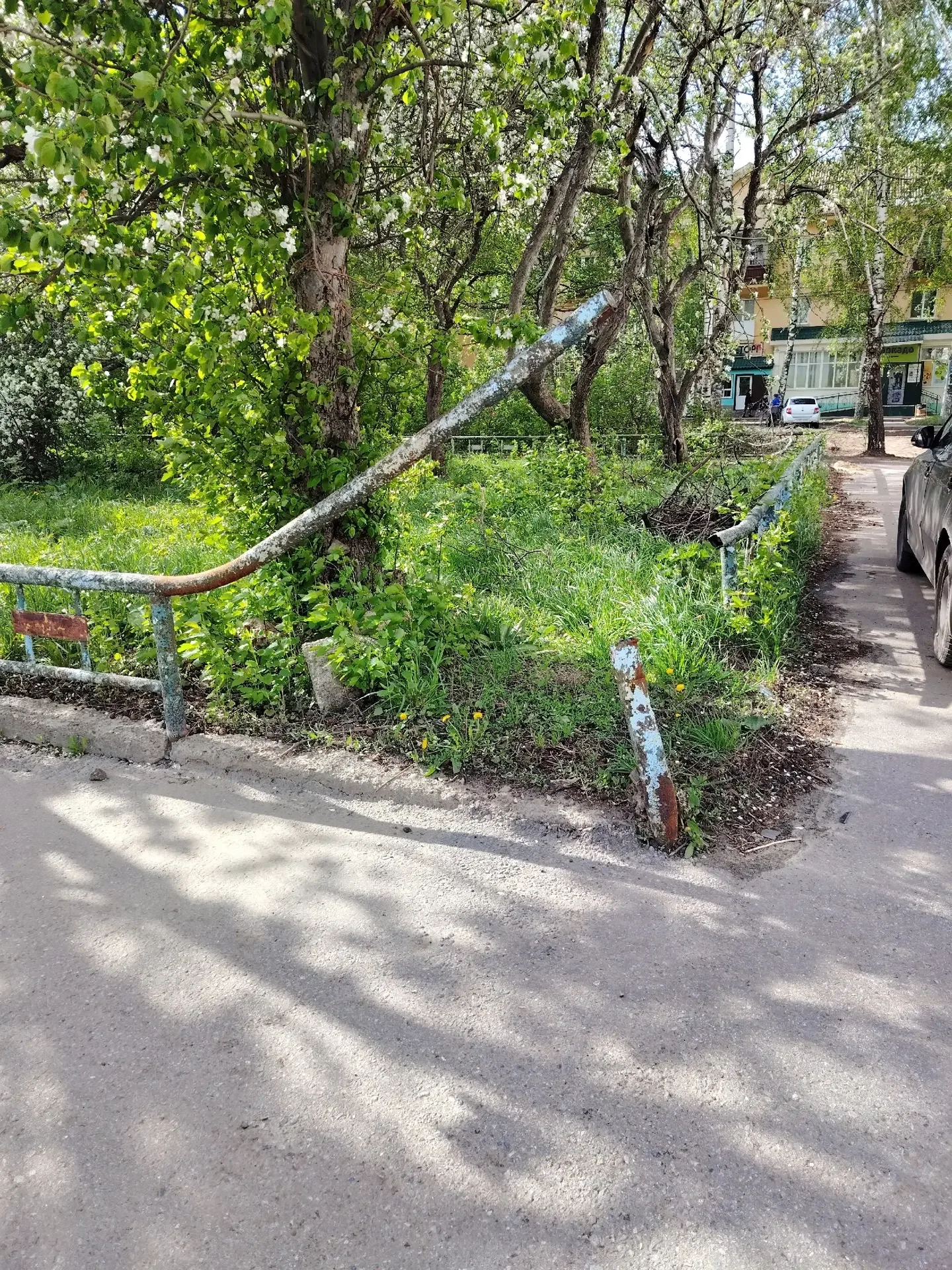 У меня вопрос к администрации города. Когда нибудь приведут в порядок этот палисадник между домами 3