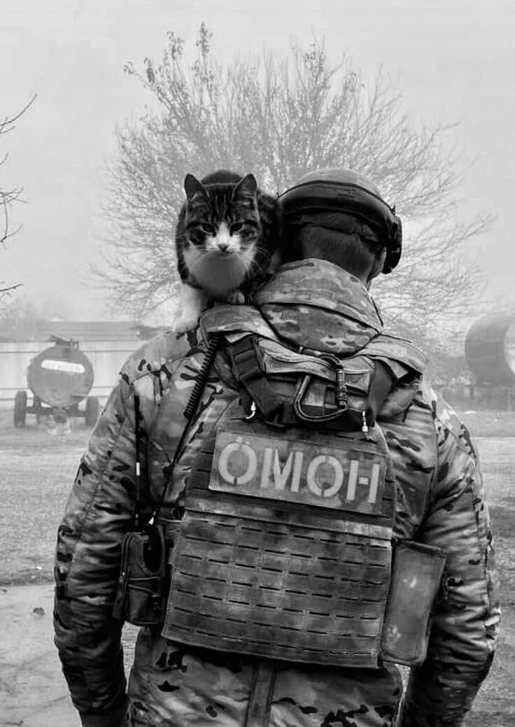👮‍♂ Полицейский (боец) ОМОН / ОМОН «Пластун» ГУ Росгвардии по Краснодарскому краю 💰 от 58 000 до 120