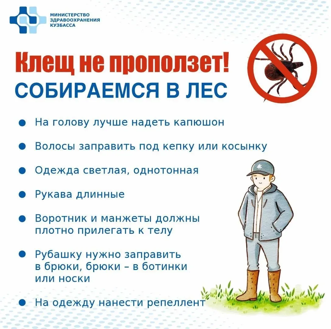 Клещи вышли на охоту!  Позаботьтесь об эффективной защите от кровососов.