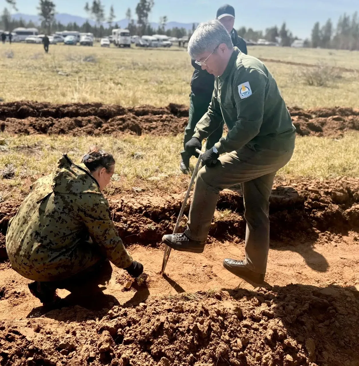 🌿В Бурятии высадили более 25 тысяч сеянцев сосны    На месте лесного пожара, произошедшего в 2015 го