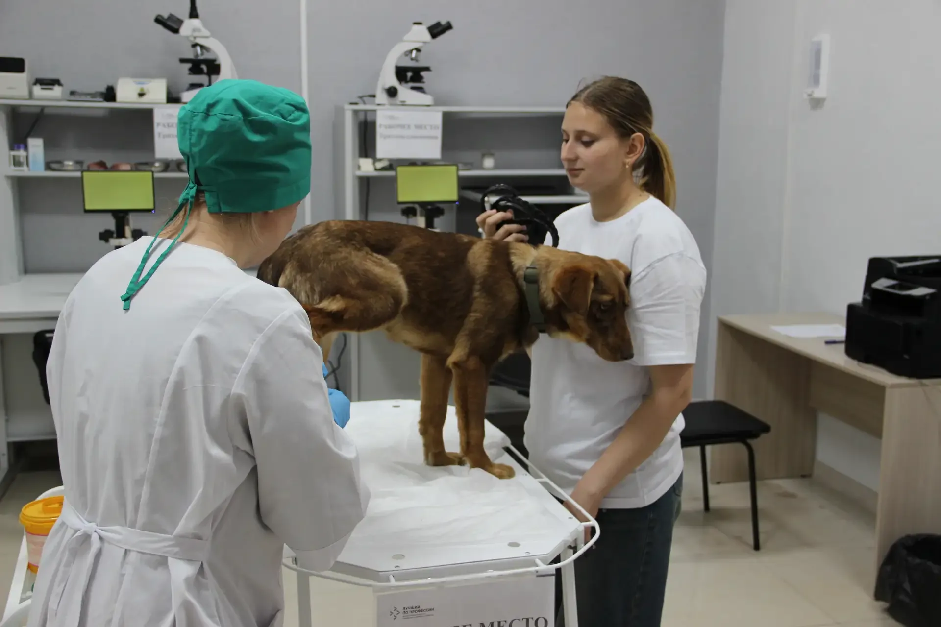 ✨На базе колледжа имени Героя Советского Союза Н.Н. Комарова прошел региональный этап Всероссийского