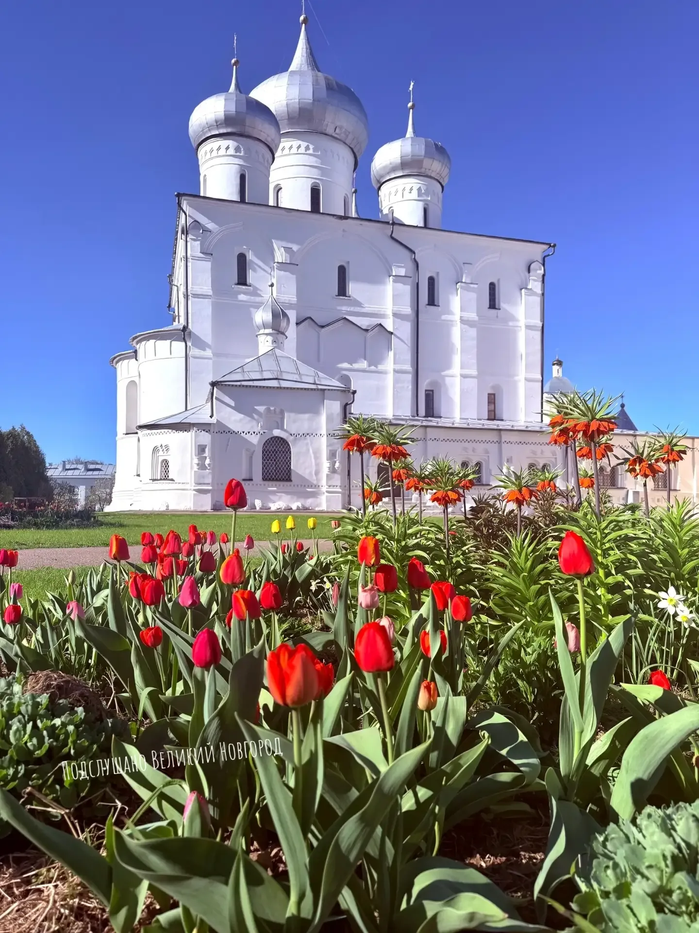 Цветочный Великий Новгород  📸Екатерина Ефимова