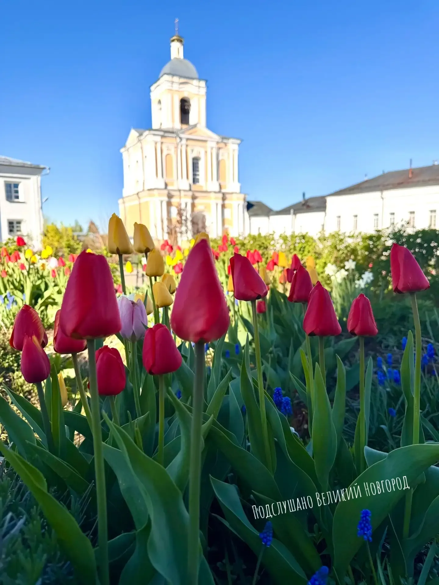 Цветочный Великий Новгород  📸Екатерина Ефимова