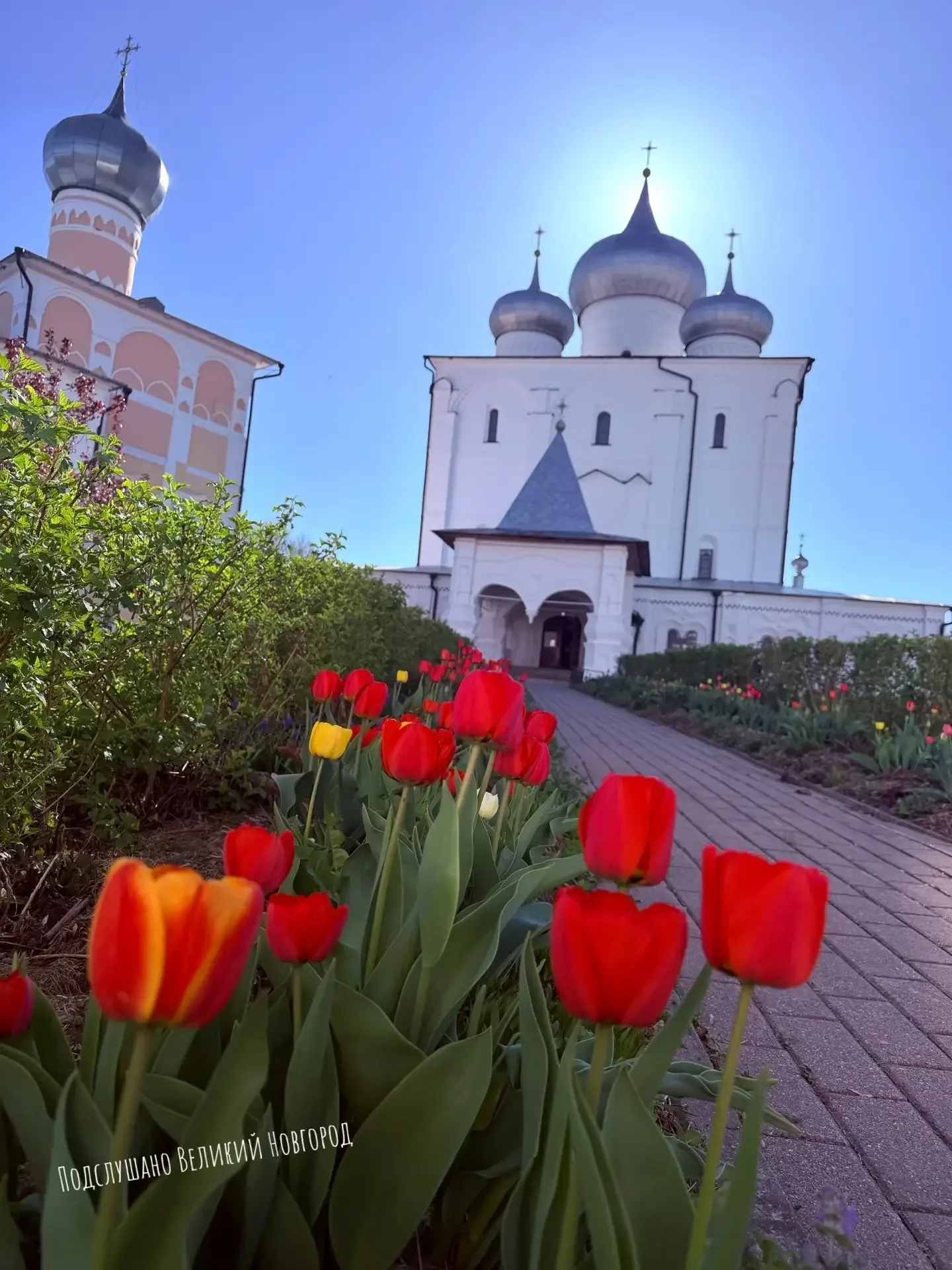 Цветочный Великий Новгород  📸Екатерина Ефимова
