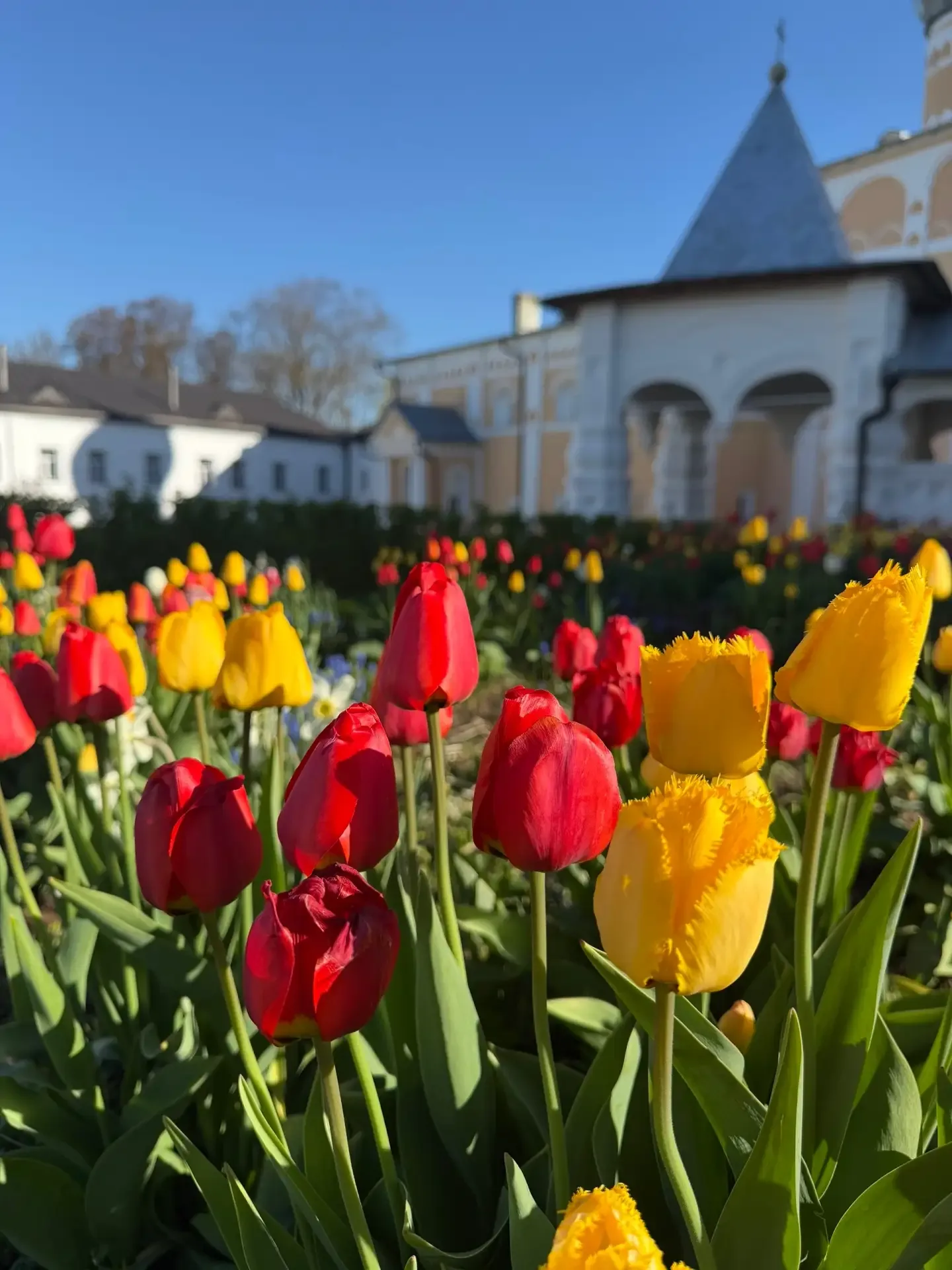 Цветочный Великий Новгород  📸Екатерина Ефимова