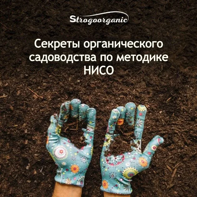 Как вырастить богатый урожай в любом регионе  Хотите получить богатый урожай с меньшими усилиями?   