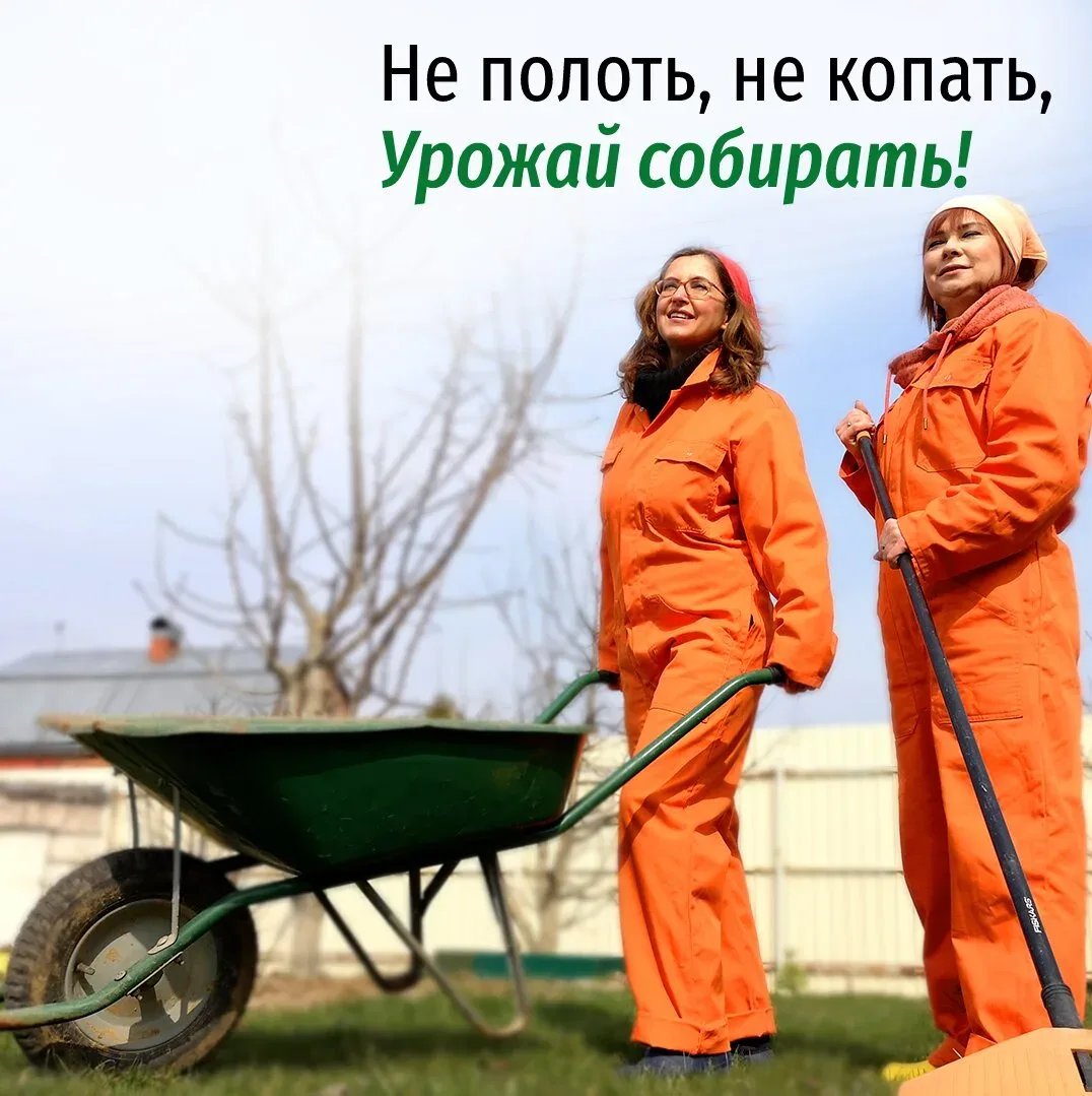 Как вырастить богатый урожай в любом регионе  Хотите получить богатый урожай с меньшими усилиями?   