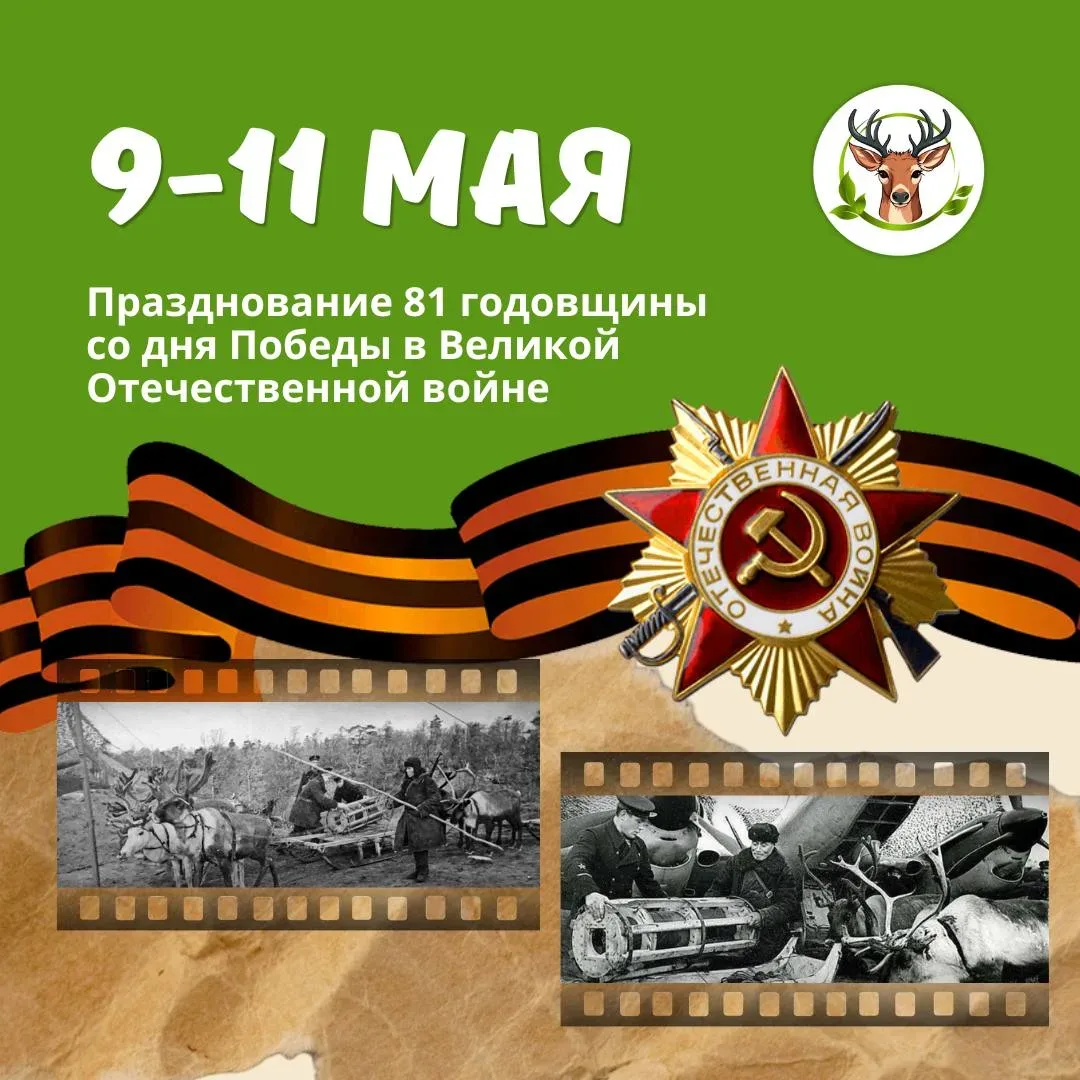🌟🕊️С 9 по 11 мая отмечаем День Победы на ЭКО ФЕРМЕ!   📽 В честь праздника мы покажем исторический до