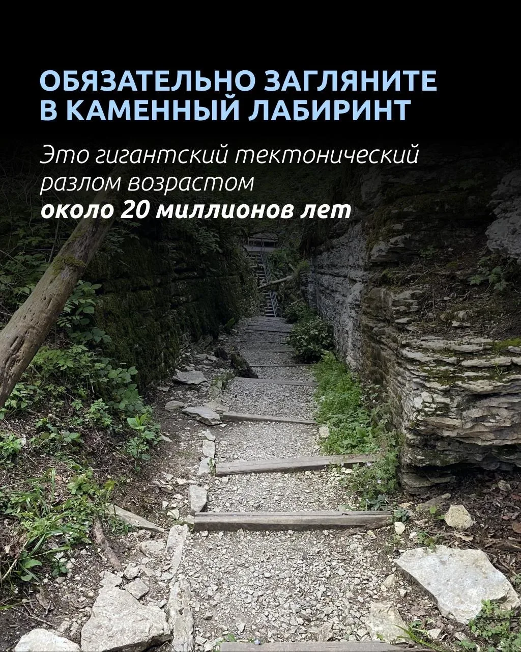 🦖 Кто сказал, что телепорта не существует?  Всего пара часов полета — и вы уже гуляете по лесу, кото