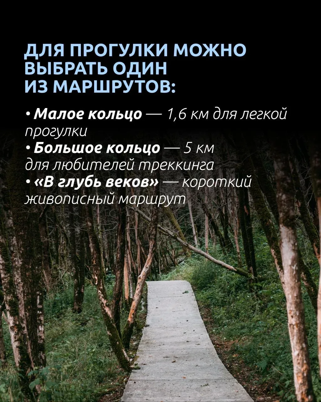 🦖 Кто сказал, что телепорта не существует?  Всего пара часов полета — и вы уже гуляете по лесу, кото