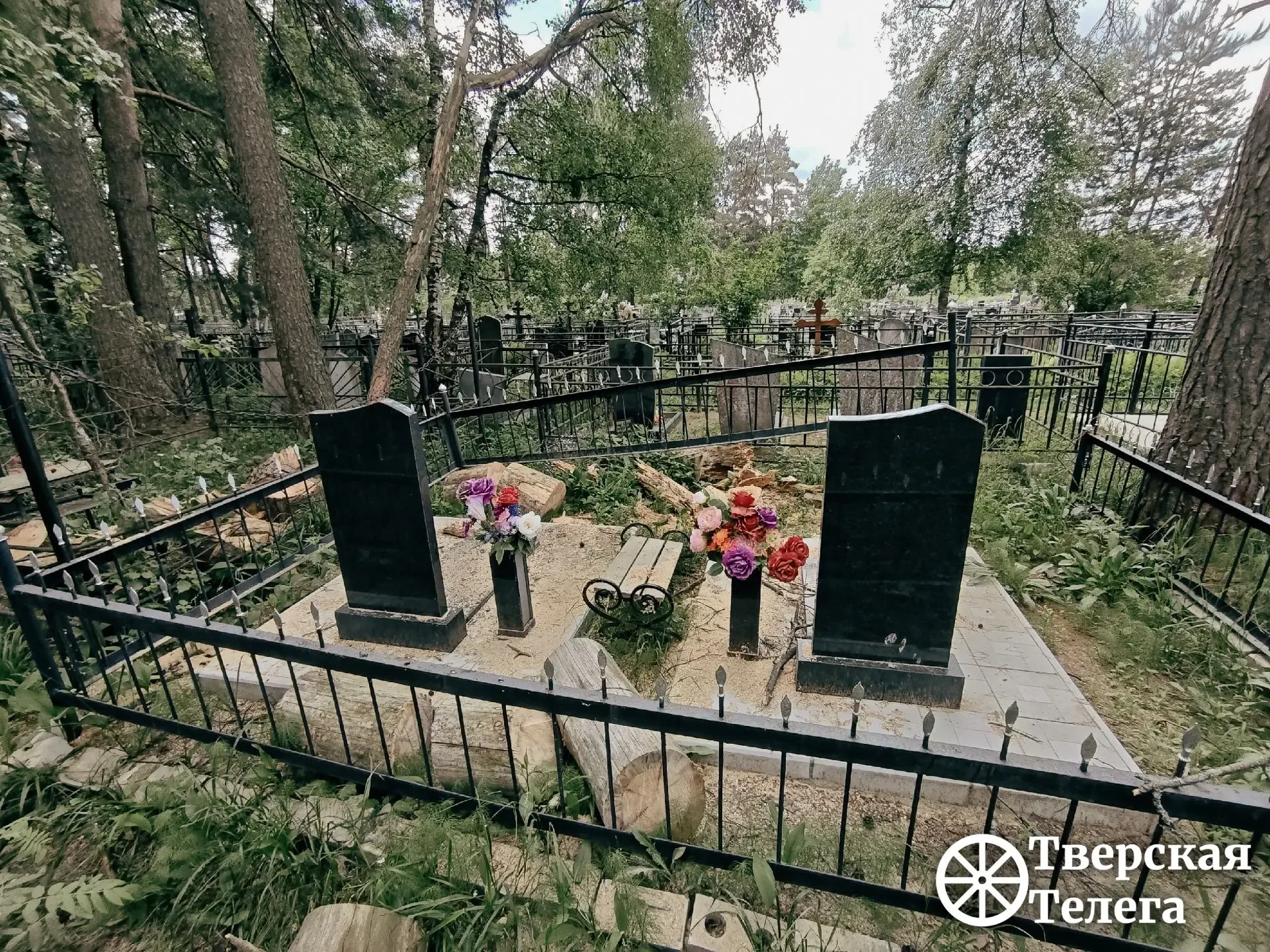 🌲😒 После урагана — разбирайтесь сами?  На кладбище в деревне Курово Калининского округа после апрель