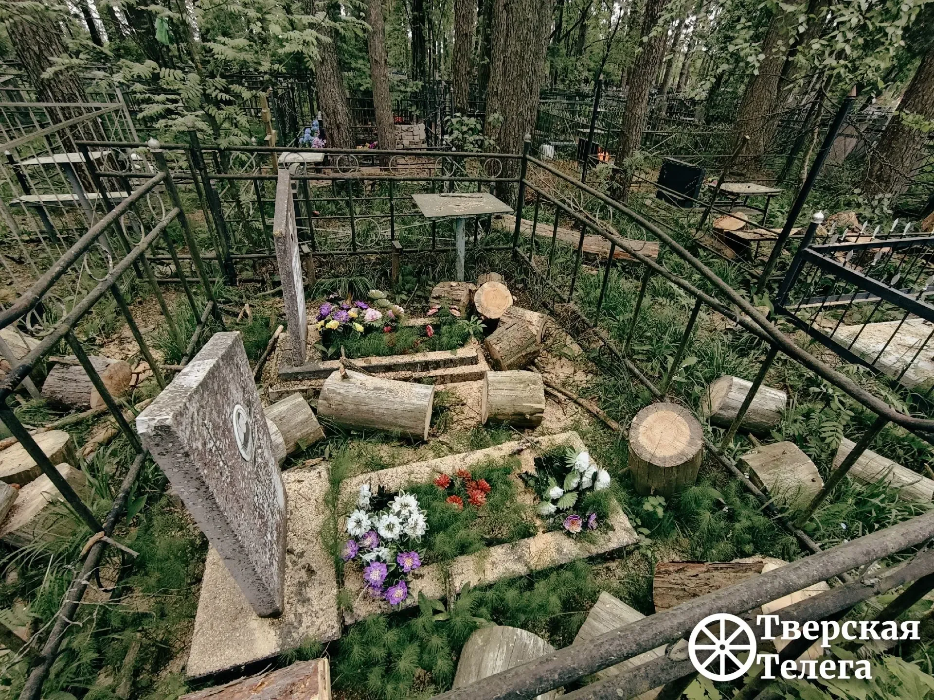 🌲😒 После урагана — разбирайтесь сами?  На кладбище в деревне Курово Калининского округа после апрель